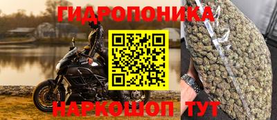 PSILOCYBIN Бийск