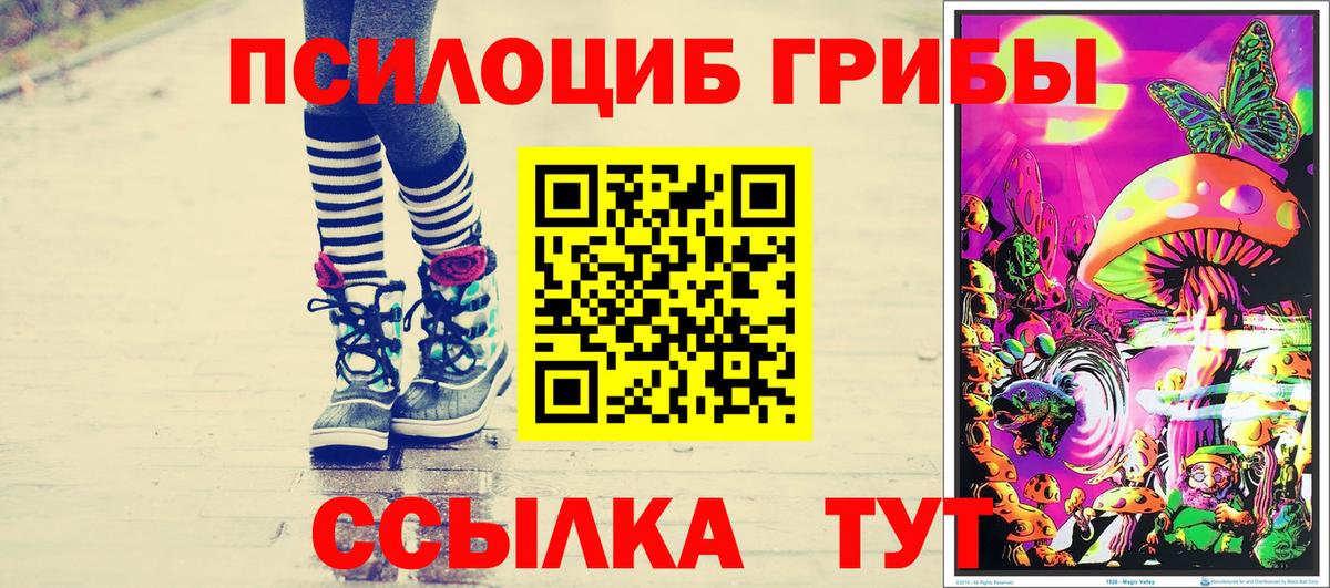 Галлюциногенные грибы прущие грибы Йошкар-Ола